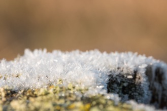 Ice crystals from the heavy frost at the Ouse Washes, on the handrail of the steps up to a birdhide.